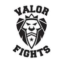 Valor Fights (Tennessee) logo