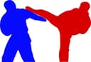 DonnyBrooke Fight Promotion logo