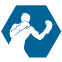 LNK Boxing logo