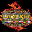 Liga X13 logo