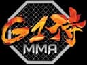 G1 Open Fight logo