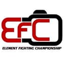 Element Fighting Championship logo