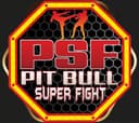 Super Fight Sal logo